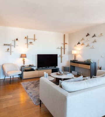 3B36DA27-8627-404F-B7D6-F6F9136418DE_1_105_c décoration salon